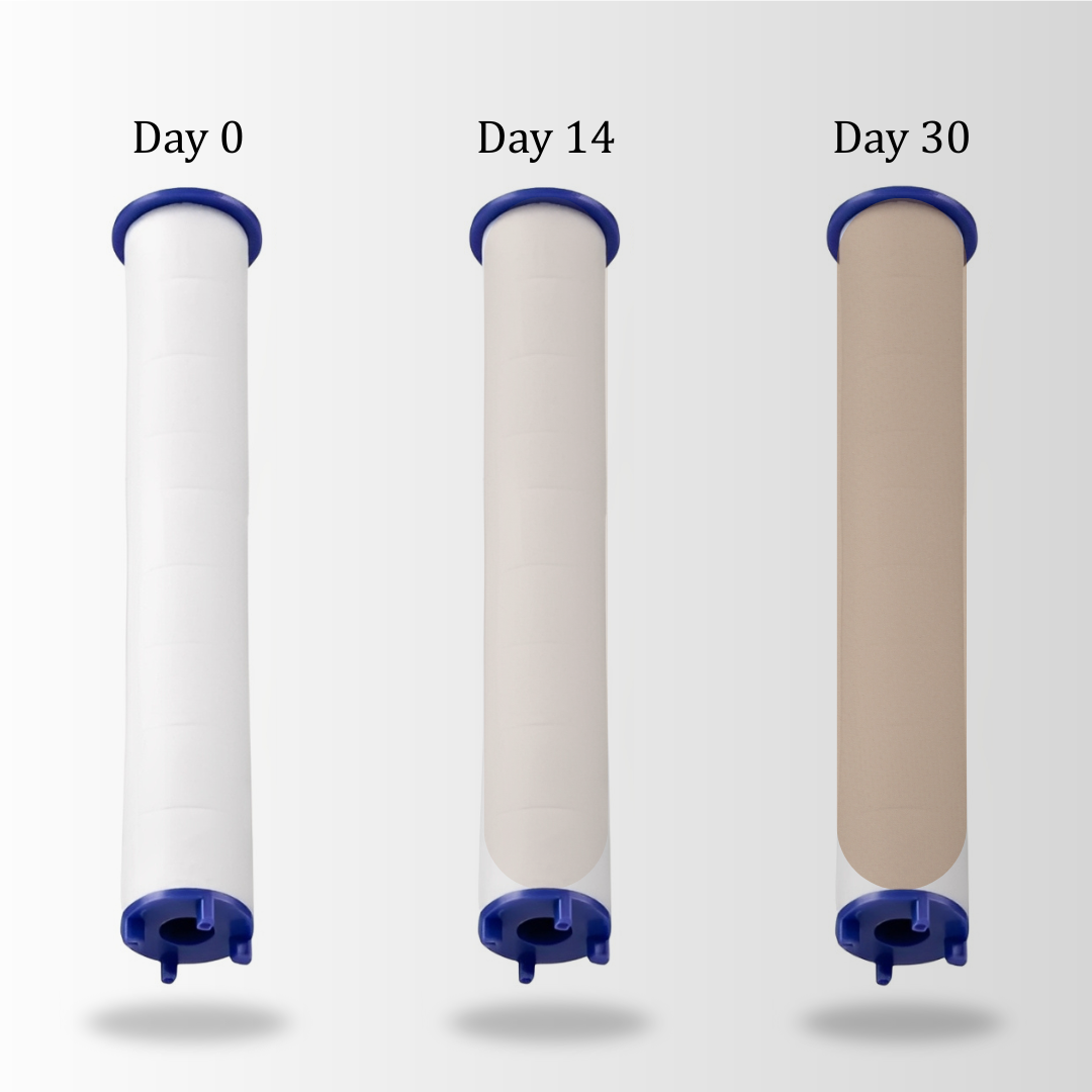 Replacement Filters (5 pack)