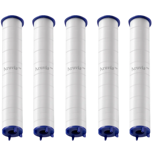 Replacement Filters (5 pack)